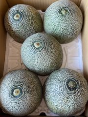 鹿児島県産　アップルマンゴーB品　アーウィン種　M〜Lサイズ　8玉 鹿児島県産アップルマンゴーB品アーウィン種M〜Lサイズ8玉