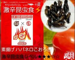激辛 昆虫食 素揚げ　ハバネロコオロギ　5ｇ　究極の罰ゲーム　パーティー用