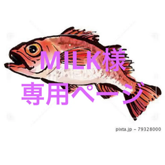 アイシングクッキー　MILK様専用ページ