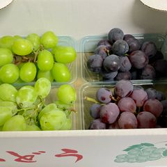 大人気！岡山県産 ぶどう彩り詰め合わせセット！ - メルカリ