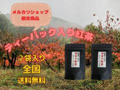 急須で出す日本の紅茶　ティーバック　3ｇ×15袋入り 2パック