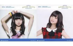 Item thumbnail for item 9b182cb6-0467-409b-88f6-5e09d2d30be8