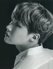 【中古】ポストカード [単品] ジェイホープ(BTS防弾少年団) プレミアムポストカード 「2017 BTS LIVE TRILOGY EPISODE III THE WINGS TOUR IN JAPAN ～SPECIAL EDITION～」