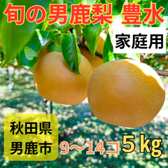 男鹿梨「豊水」5kg  家庭用　大将梨園　秋田県男鹿市産