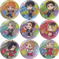 【中古】バッジ・ビンズ 全9種セット 「ハイキュー!! グリッター缶バッジ」