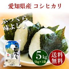 愛知県産 コシヒカリ 白米 5kg お米 5キロ