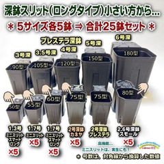 深鉢スリット＊小さい方から5サイズ：1.3号50型、1.7号55型、1.7号60型、2号75型カネヤ、2.6号深鉢の5サイズ各5鉢⇒合計25鉢＊多肉植物・塊根植物コーデックス・アガベ・サボテン・アデニウム・パキポディウム・実生＊プレステラ＠フラワーショップ江口