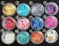 ジェルネイル ネイルパーツ シェルフレーク　貝ネイル 薄片 ジェルネイル NL1