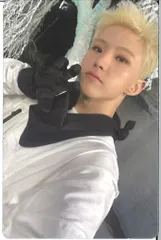 SEVENTEEN SECTOR 17 HOSHI トレーディングカード