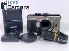 Panasonic LUMIX DMC-GX1 電池 充電器 付 パナソニック ルミックス ミラーレス一眼