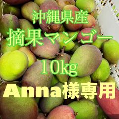 摘果マンゴー　グリーンマンゴー　青マンゴー　箱込10kg