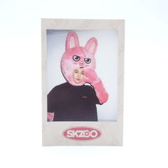 straykids チャンビン SKZOO ポラロイド - メルカリ