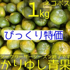 〈びっくり特価〉沖縄県産 シークヮーサーＢ品約１kg【ネコポス】③