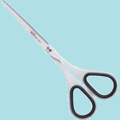 Item thumbnail for item aaea206c-6e6d-497a-b052-b8f56a592b28