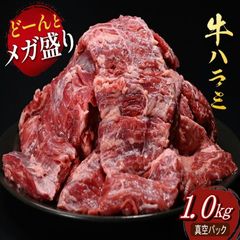 牛ハラミ　訳あり　1キロ　業務用　1kg　(3～4人前)　冷凍　BBQ　塩味