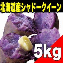 【限定販売】北海道産じゃがいも（シャドークイーン）5kg　不揃い 野菜【北海道ちとせ空マチ！】