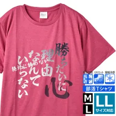 Tシャツ《C柄-12》 新品 未使用 接触冷感 吸水速乾 ドライ UVカット スポーツ 運動会 体育祭 部活 漢字 応援 お揃い 熱血 彼氏 ギフト プレゼント【H5Z】【メール便1】 ファッション