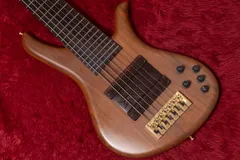 2025年最新】sws ギターの人気アイテム - メルカリ