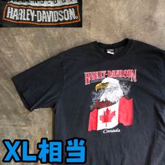 T6010 HARLEY-DAVIDSON Tシャツ シングルステッチ　古着