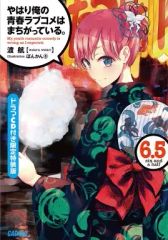 [중고] 라이트 노벨 (기타) 한정 6.5) 역시 내 청춘 러브 쌀은 잘못되어있다. 드라마 CD 포함 한정 특장판 / 도항