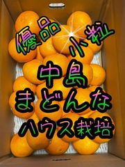 中島まどんな　小玉　優品5K