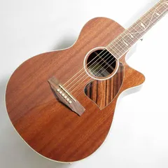 2025年最新】Ibanez アコースティックギターの人気アイテム