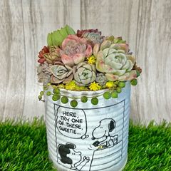 多肉植物  寄せ植え スヌーピー リメ缶