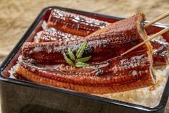 関東のふんわり×関西の香ばしさ　静岡焼きうなぎ（3尾）【静岡県 / 愛知県産他】