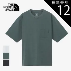 種類12：W/XL ザ・ノース・フェイス tシャツ 半袖 the north face NT12447 S/S AIRY POCKET T ショートスリーブエアリーポケットティー メール便 (240509)