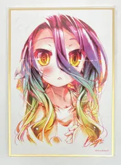 ノーゲーム・ノーライフ シュヴィ B1タペストリー 2025年最新】タペストリー シュヴィの人気アイテム - メルカリ