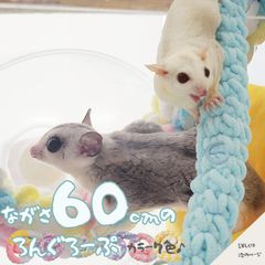 【すぐ届く/複数割あり】 モモンガ ふわもこ ロング ロープ 止まり木 ブランコ 小動物 遊び場 クライミング コットン ロープ ケージアクセサリー おもちゃ かわいい