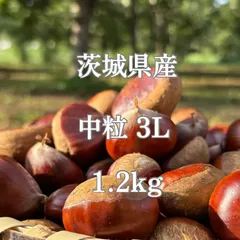 エリーゼ様　生栗　3キロ 楽天市場】生栗 3lの通販