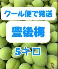 青梅 南高梅 無農薬 5Kgのお取り寄せ販売（通販）送料無料でお届け