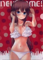 [중고] 클리어 파일 타키모토 히후미 A4 클리어 파일 [코믹스 NEW GAME! 제11권] 토라노아나 구입 특전