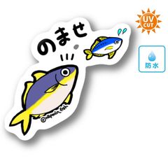 017 のませ（泳がせ）釣り【防水&UVカット】釣り好きステッカー☆