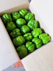 神楽南蛮(かぐらなんばん) 約2kg