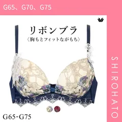 ワコール パルファージュ リボンブラ G65 M btj720-g.jpg