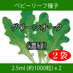 ベビーリーフ種子 B-47 グリーンオーク（濃緑） 2.5ml x 2袋