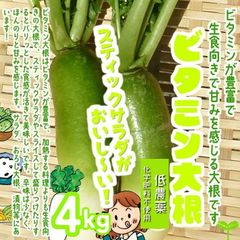 ビタミン大根（青大根）　低農薬・化学肥料不使用　埼玉県産　４ｋｇ※サイズが小さいです。虫食いの跡があります。葉は切ってあります。ご了承の上お買い求めください。