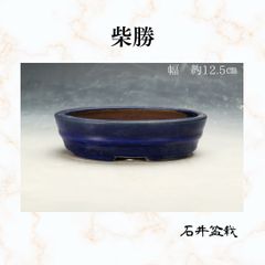 常滑焼 生子釉 長角鉢 三客組 盆栽鉢 - メルカリ