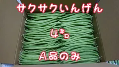 サクサクいんげん４㌔A品のみ　冷蔵