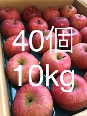 りんご（ふじ）10kg 40個 山形県産