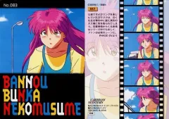 2025年最新】万能文化猫娘 トレカの人気アイテム - メルカリ