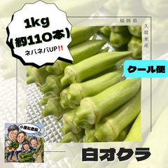 ネバネバ‼️白オクラ1kg（約110本）クール便発送✨