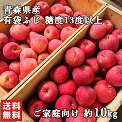 【糖度13度以上】青森県産 りんご  有袋ふじ 訳あり ご家庭用 約10kg CA貯蔵品