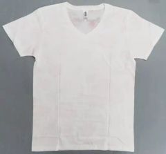 Item thumbnail for item 2c8e2809-b999-4fb5-9f40-26f66a5898de