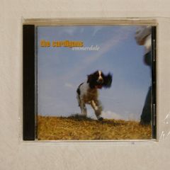 帯 国内盤 カーディガンズ/EMMERDALE/TRAMPOLENE POCP1467 CD □