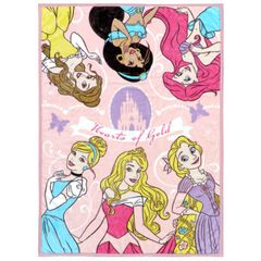 un doudou ディズニー ハーフ毛布 100×140cm 大きめ ニューマイヤー Disney ディズニープリンセス ブランケット ハーフ毛布 お昼寝 寝冷え対策 防寒 ベビー用品 新品 NZ2900-PR