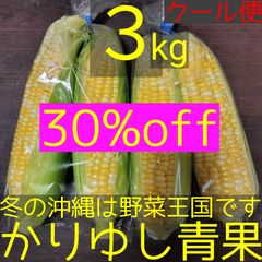 〈現品/30%off〉沖縄県産 スイートコーン/とうもろこしＢ品約３kg【クール便】①