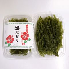 ＊久米島産＊　生海ぶどう　A級品（茎無し）200ｇ